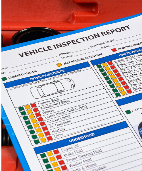 untitled (500 x 600 px) (1)