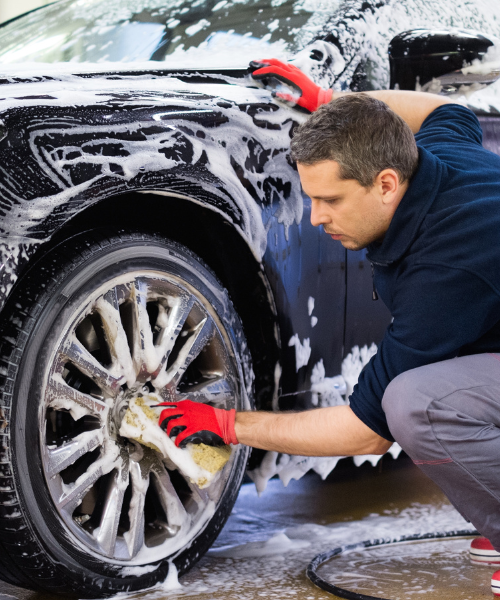 untitled (500 x 600 px) (3)