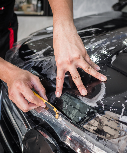 untitled (500 x 600 px) (5)