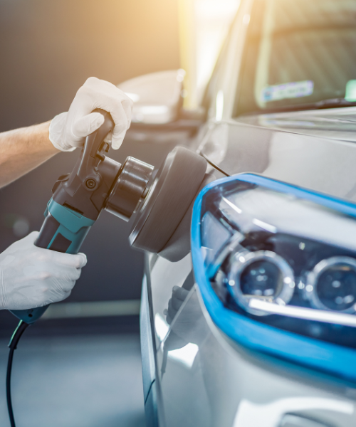 untitled (500 x 600 px) (7)