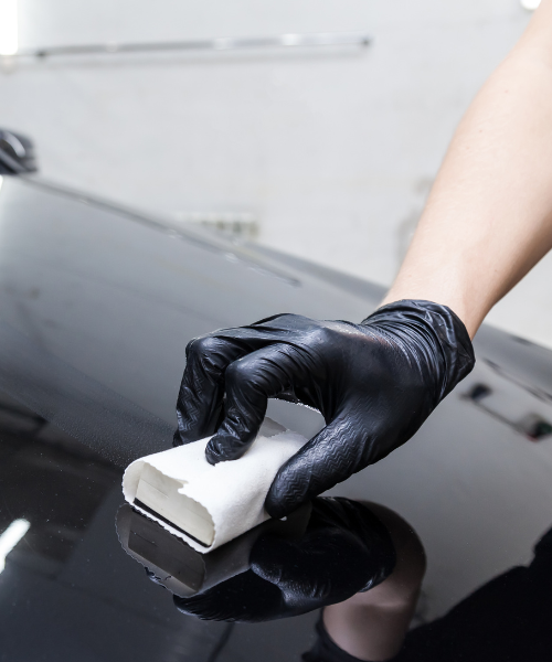 untitled (500 x 600 px) (8)