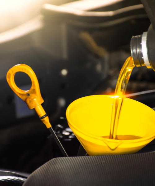 untitled (500 x 600 px)